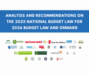 Analysis and Recommendations on the 2025 National Budget Law for 2026 Budget Law and onward